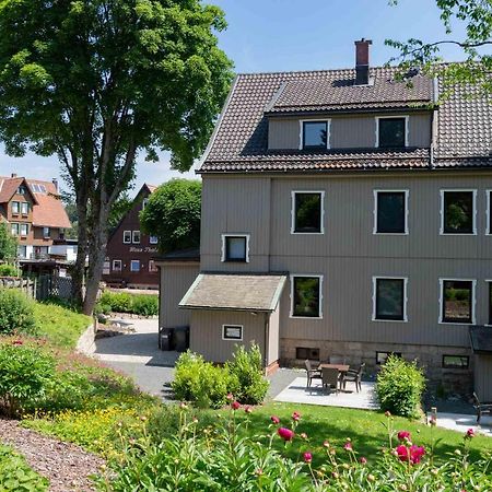 Strandberg'S Harzchalet Braunlage Bagian luar foto