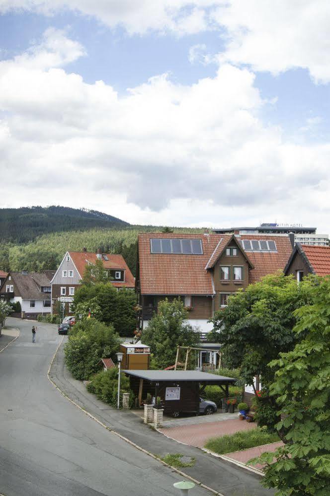Strandberg'S Harzchalet Braunlage Bagian luar foto